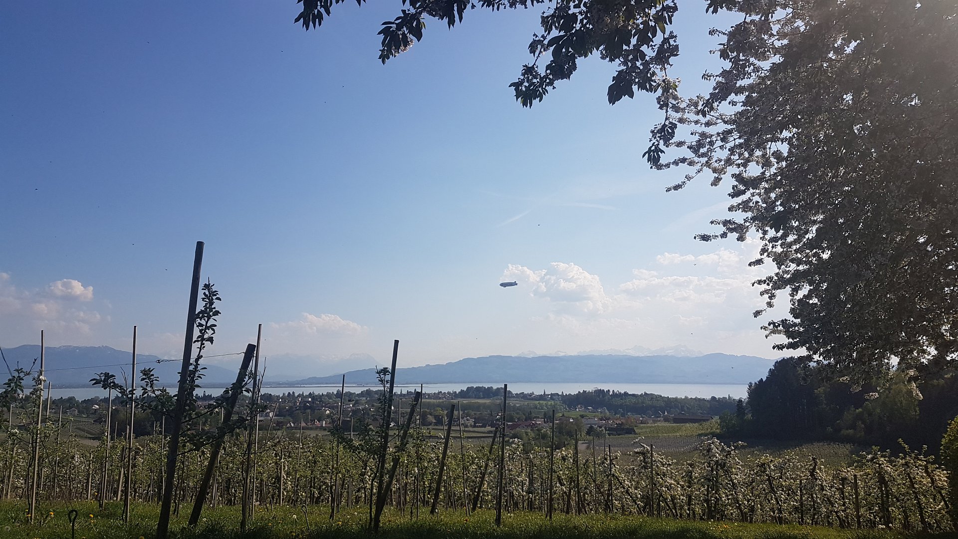 Bodensee Impression 5