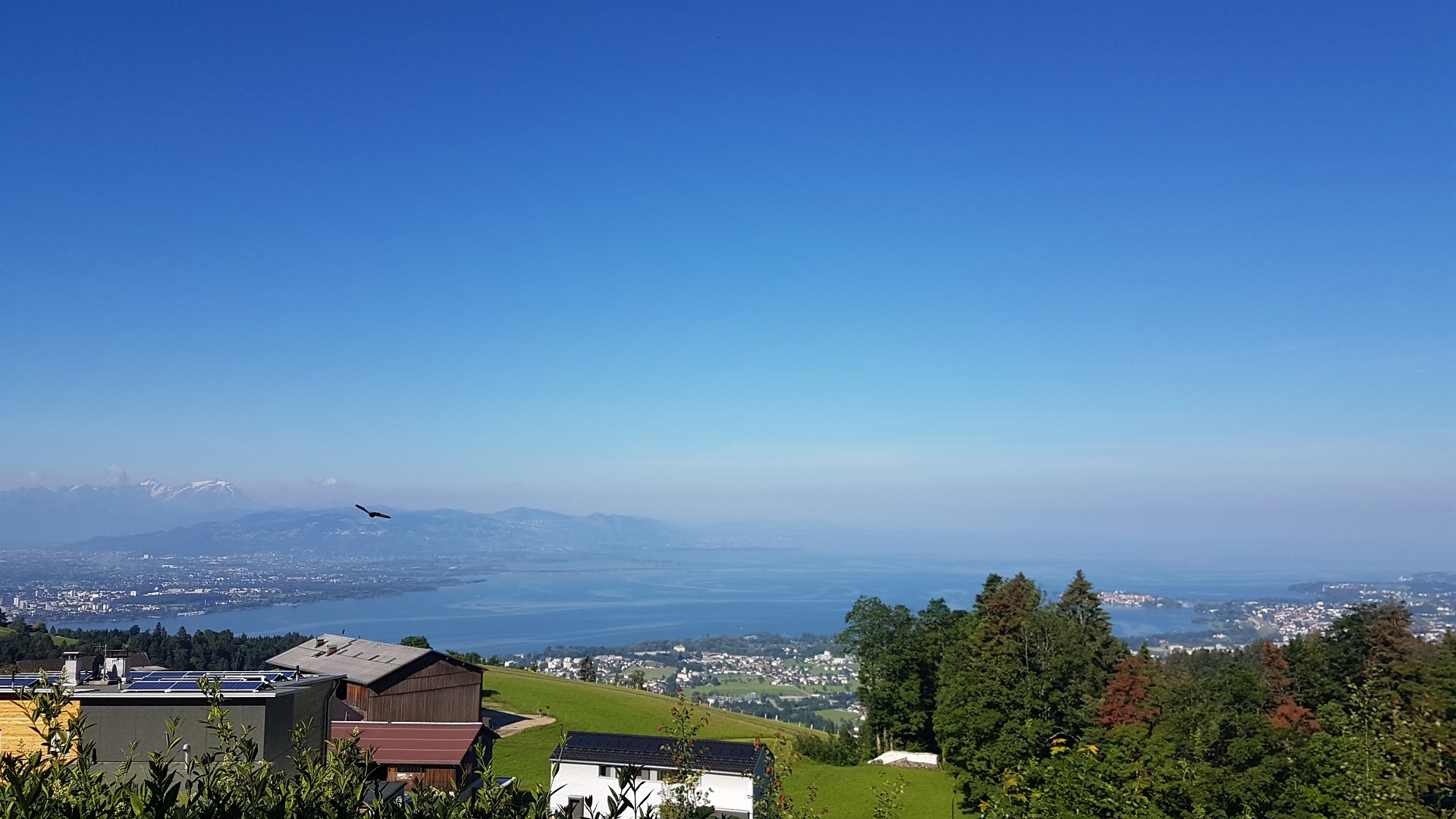 Bodensee Impression 16
