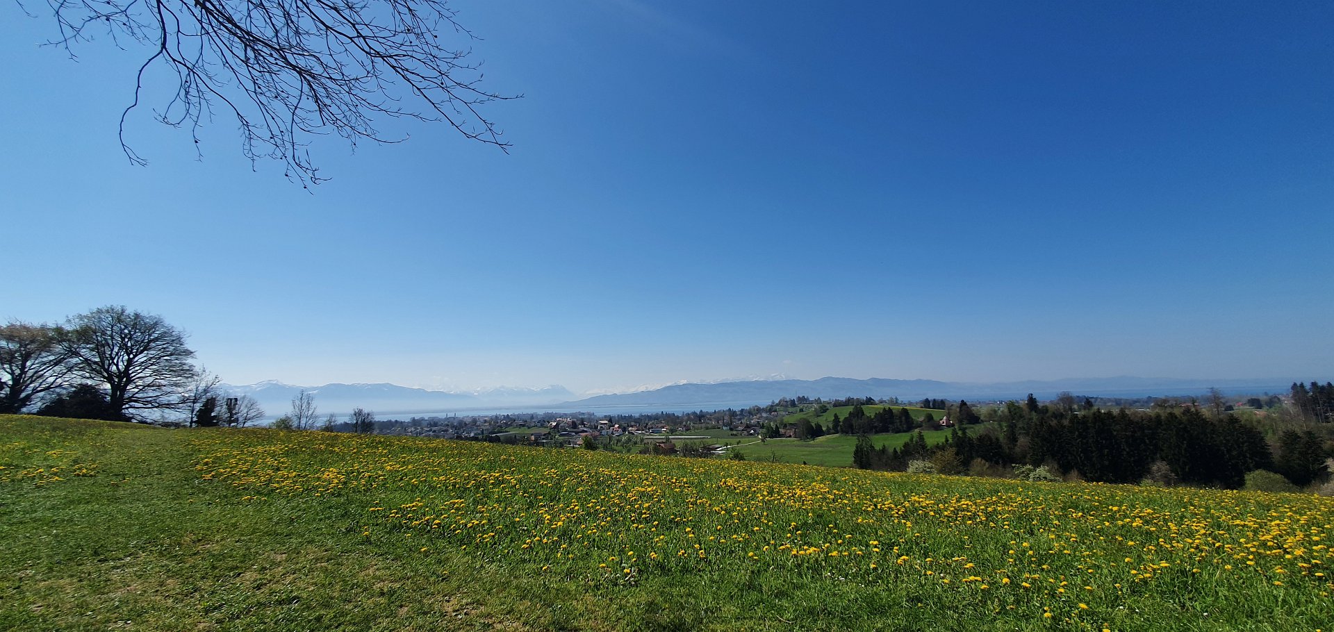 Bodensee Impression 25