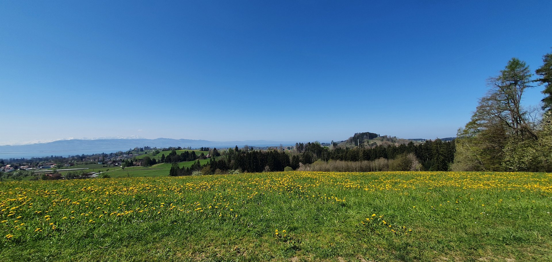 Bodensee Impression 26