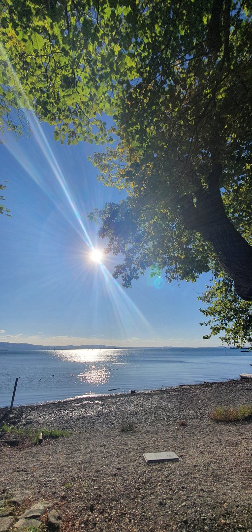 Bodensee Impression 33