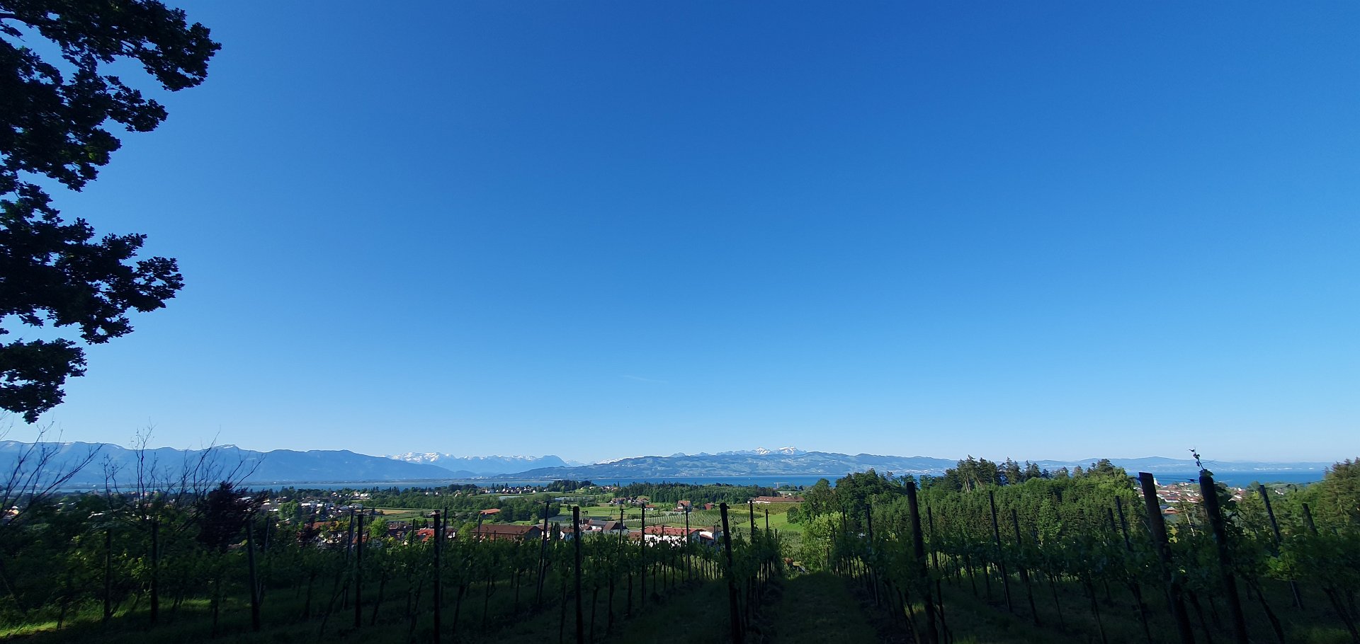 Bodensee Impression 38