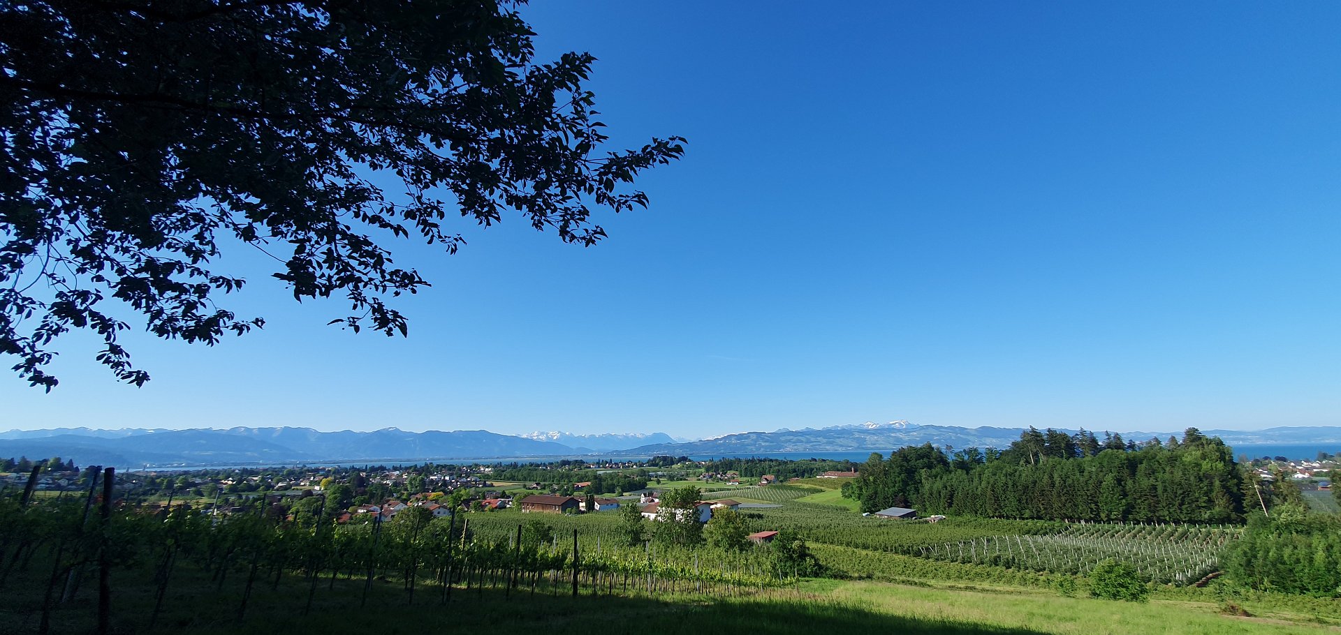 Outdoor & Natur am Bodensee