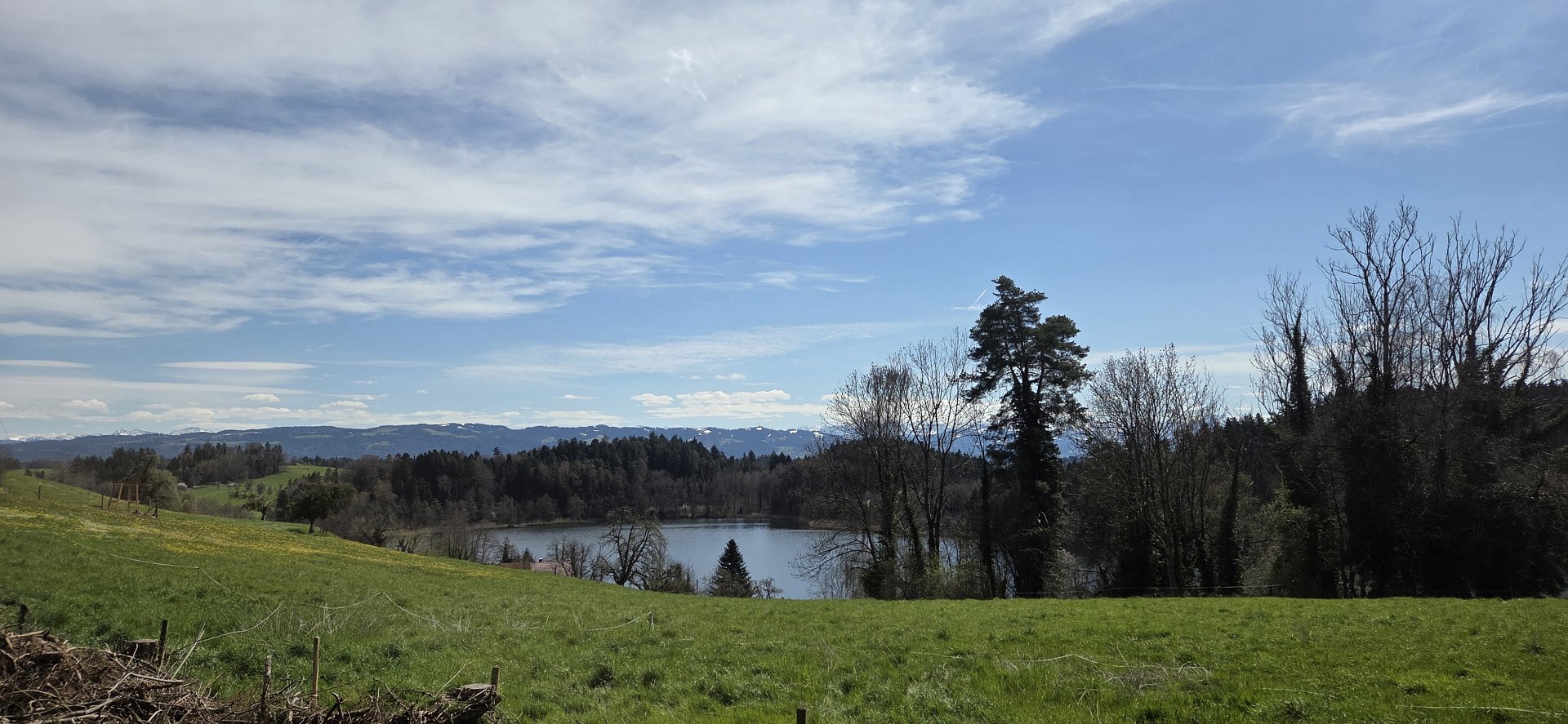 Bodensee Impression 48
