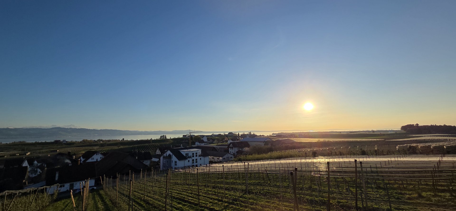 Bodensee Impression 49